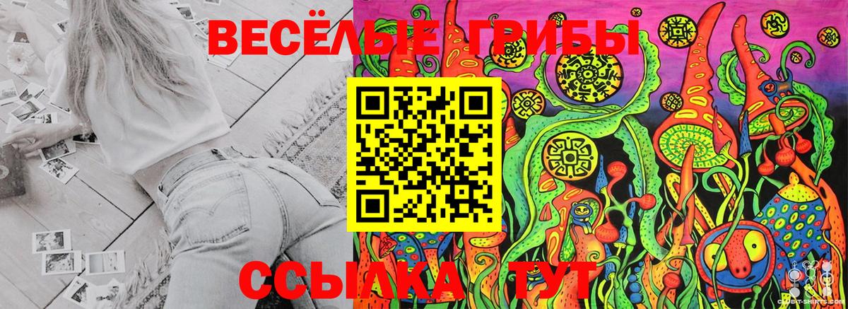 Псилоцибиновые грибы Psilocybine cubensis  Вход с VPN  Учалы 